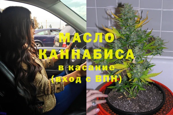 сатива Михайловск