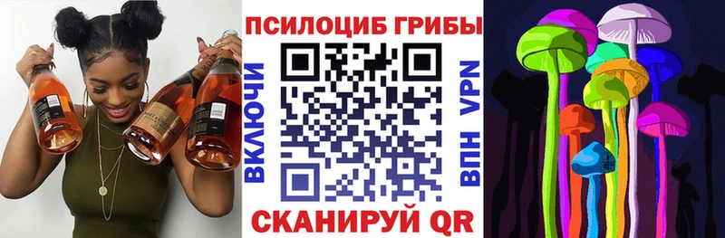 Псилоцибиновые грибы Cubensis  хочу наркоту  Шлиссельбург 